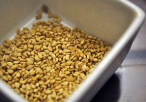 Roasted/Toasted Seeds