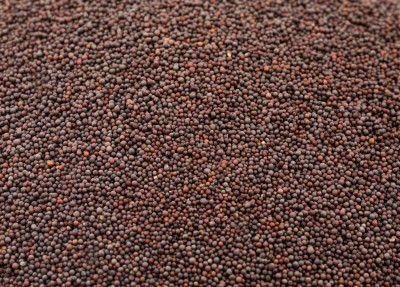 Mustard Seeds